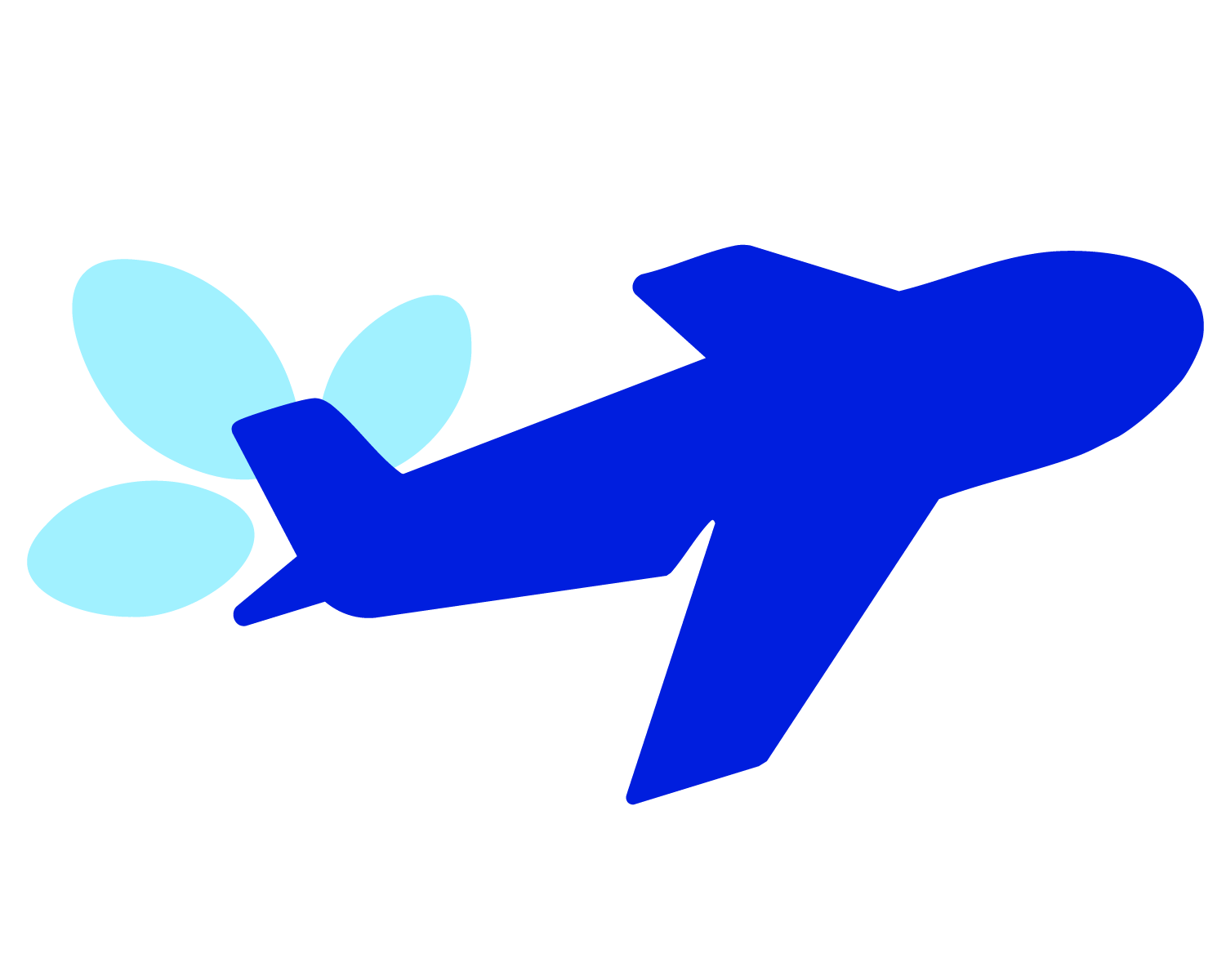 Fly any airline, earn every time* Image